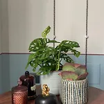 Maison B 만토바